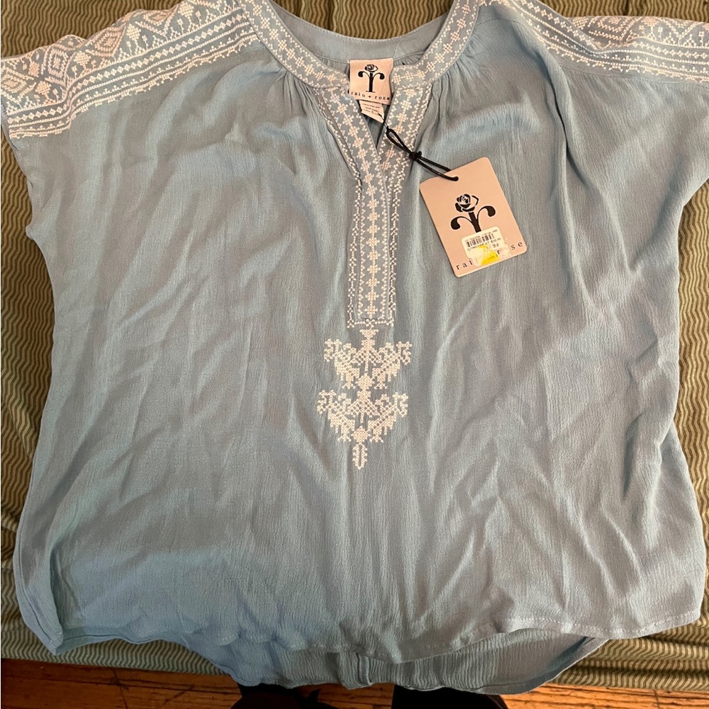 Sky Blue Embroidered Blouse